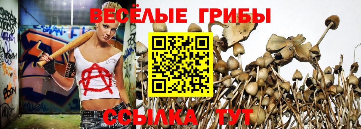 купить   Галлюциногенные грибы ЛСД  Вход с VPN  Кызыл 